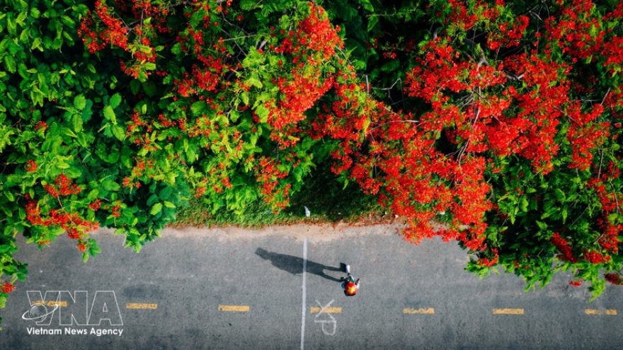 Vietnamese travellers favour nearby overseas trips for April 30 holiday